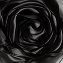 Silk Wavy Bonnet